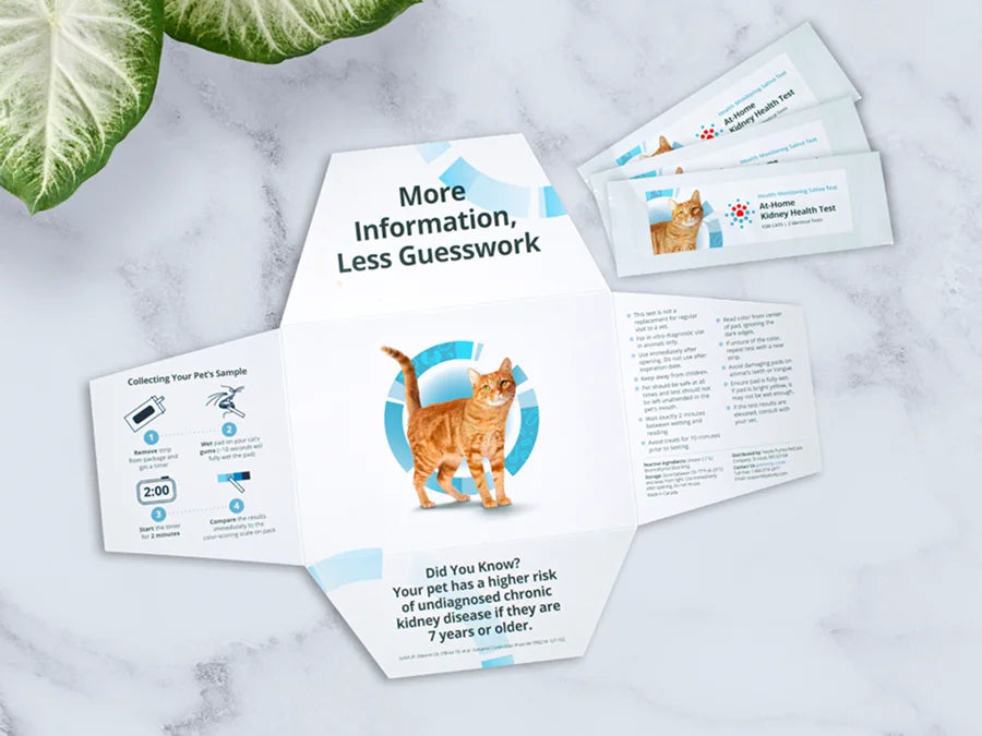 At-home kidney health test kit for cats showing instructions, cat image, and test strips on a marble surface with a green leaf nearby