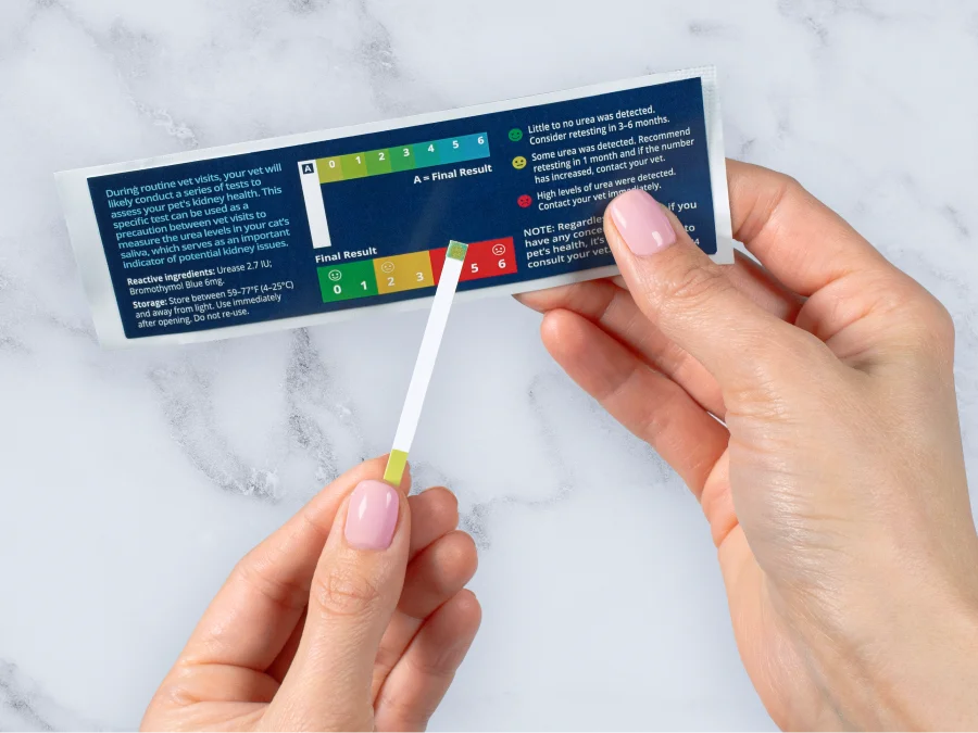 Hands holding a kidney health test strip and color chart for monitoring cats at home with instructions visible in the background