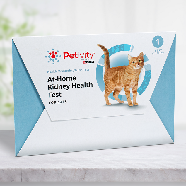 Petivity At-Home Kidney Health Test for Cats - 1CT