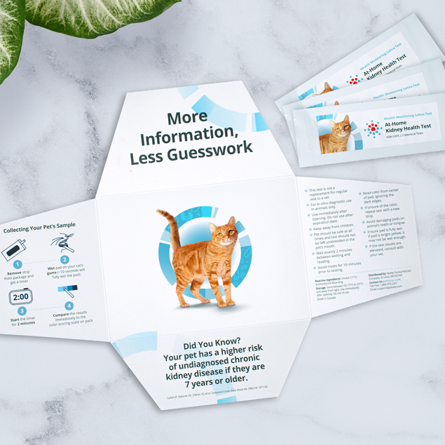 Open packaging of a cat kidney health test kit with sample collection instructions and three test strips on a marble surface next to a green plant.