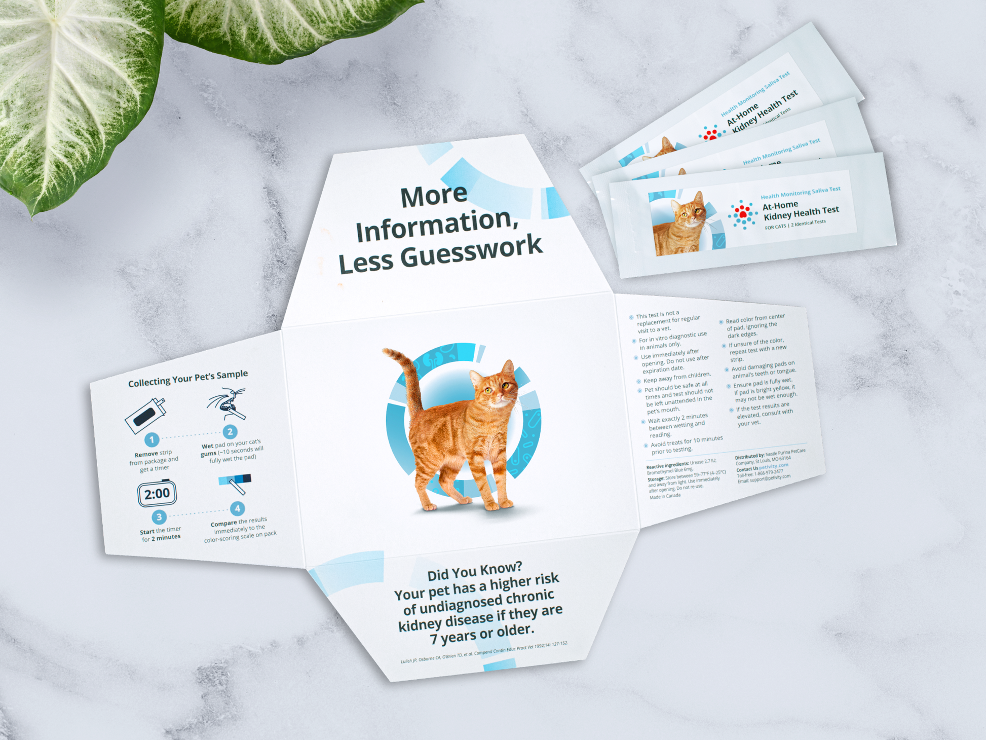 Open packaging of a cat kidney health test kit with sample collection instructions and three test strips on a marble surface next to a green plant.