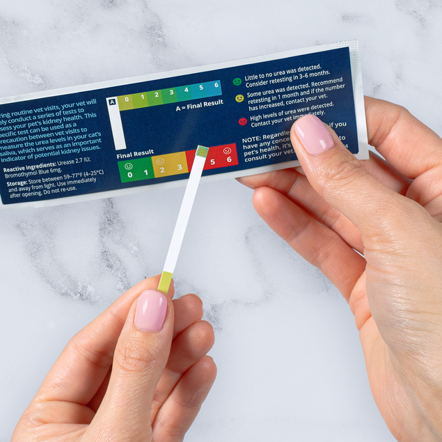 Petivity At-Home Kidney Health Test for Cats - 1CT
