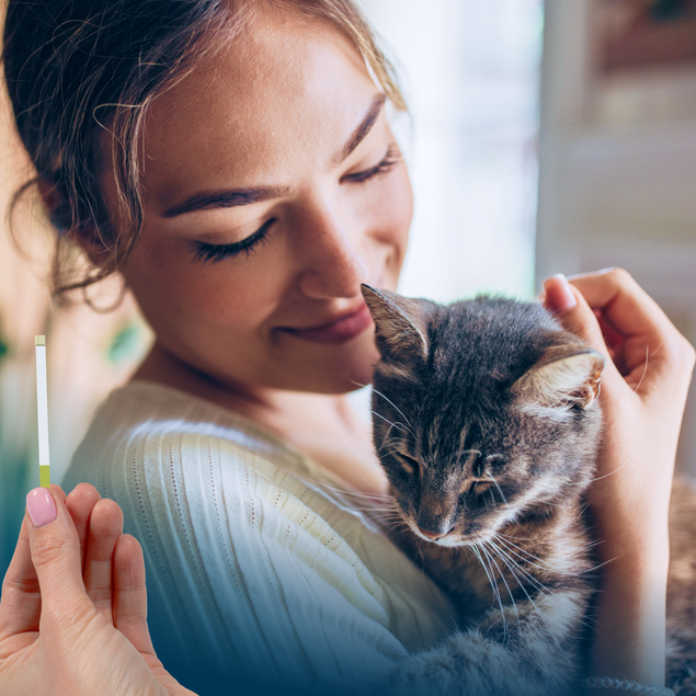 Petivity At-Home Kidney Health Test for Cats - 1CT