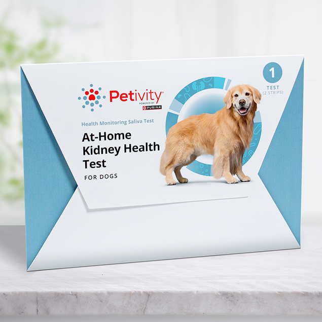 Petivity At-Home Kidney Health Test for Dogs - 1CT