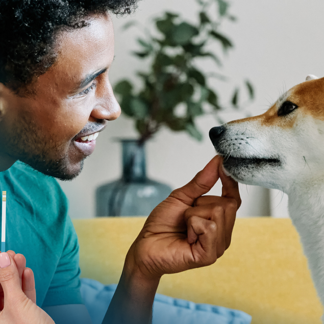 Petivity At-Home Kidney Health Test for Dogs - 3CT