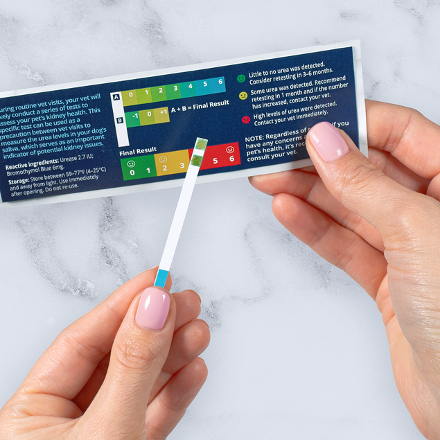 Petivity At-Home Kidney Health Test for Dogs - 1CT