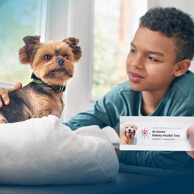 Petivity At-Home Kidney Health Test for Dogs - 3CT