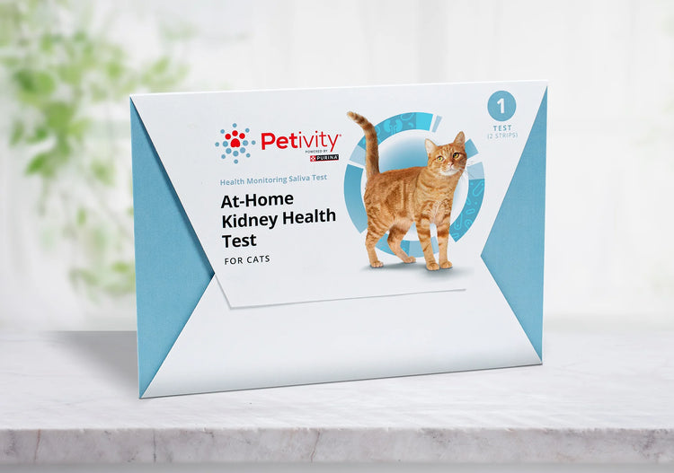 At-Home Cat Kidney Health Test Petivity - Main Image
