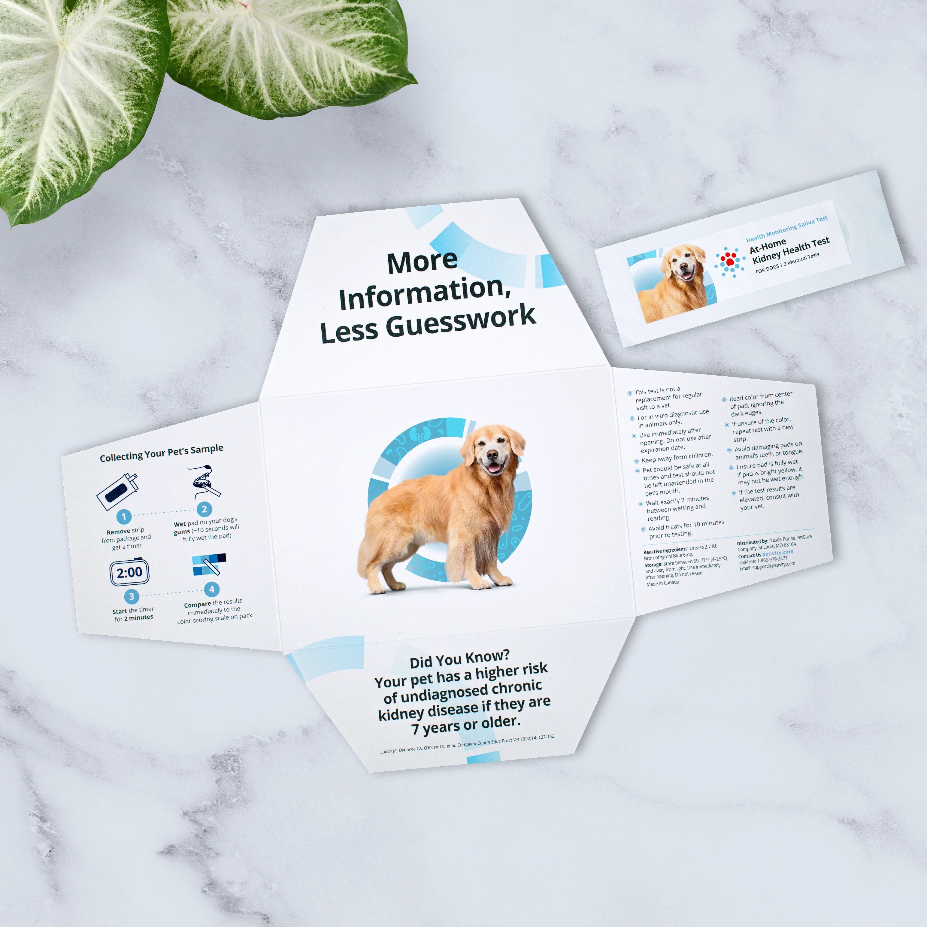 Petivity At-Home Kidney Health Test for Dogs - 1CT