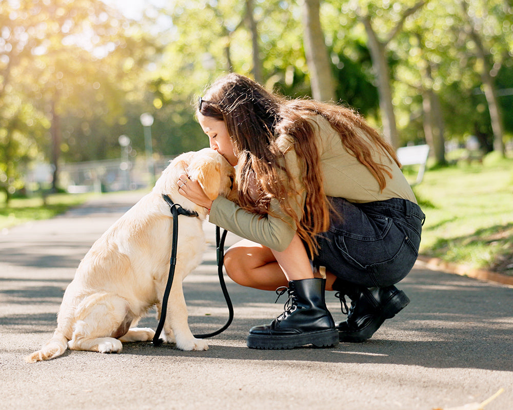 Person crouching on a park path and kissing a leashed golden retriever.