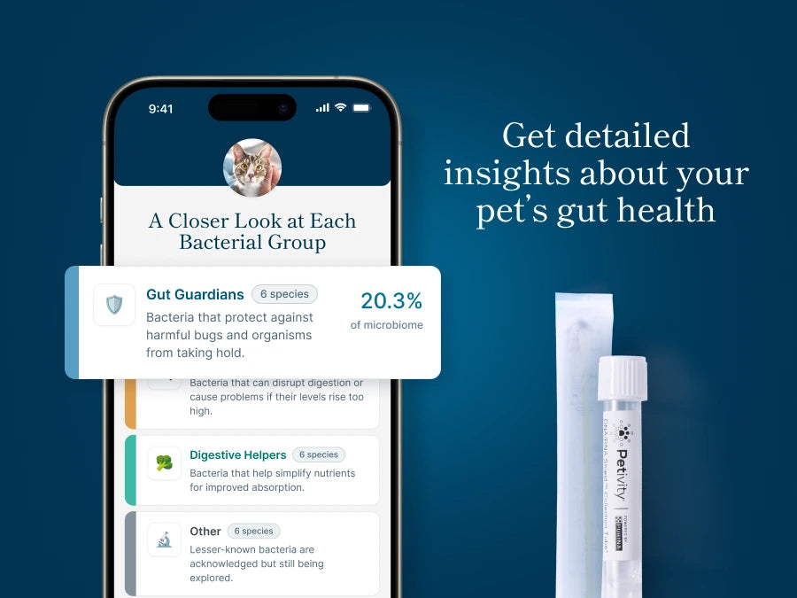 Smartphone displaying pet gut health analysis alongside a microbiome test kit for cats and dogs at home use