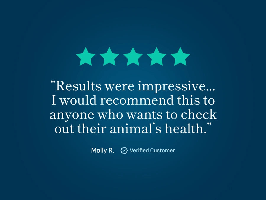 Customer review showing five stars and positive feedback for pet microbiome health test kit results from a verified buyer