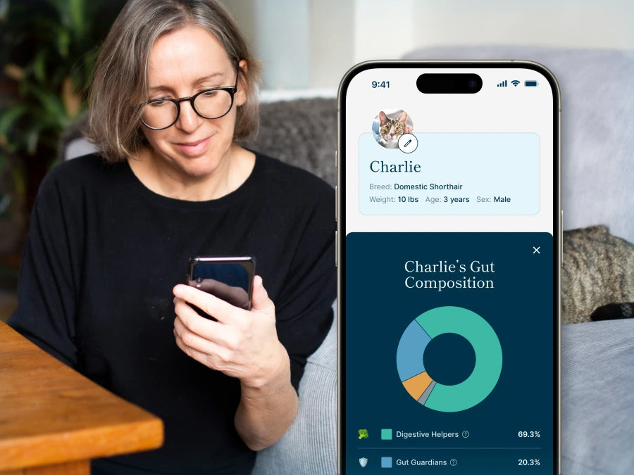 Woman reviewing pet gut health results on smartphone app after using microbiome analysis kit at home