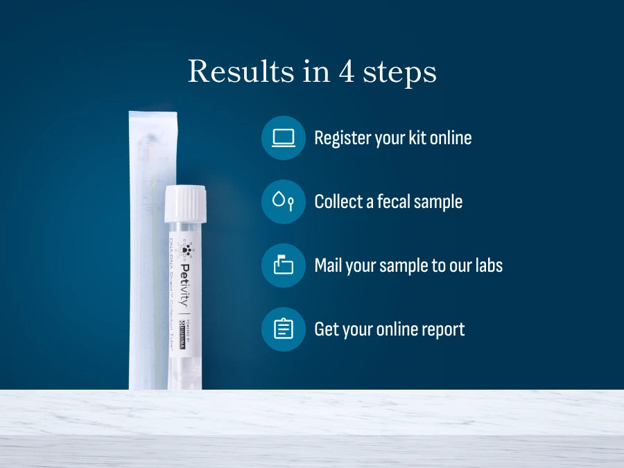 Petivity microbiome analysis kit with collection tube and instructions showing four easy steps for gut health testing at home.