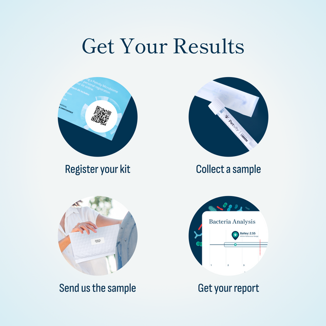 Microbiome Analysis Kit - Comprehensive