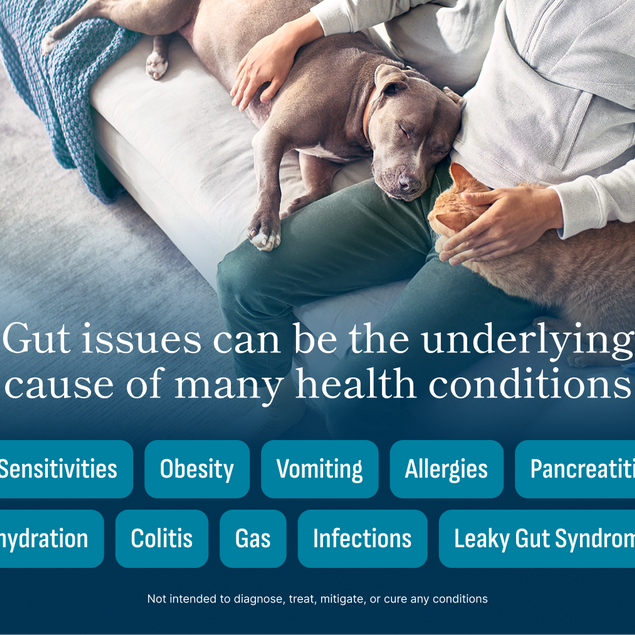 Microbiome Analysis Kit – Advanced