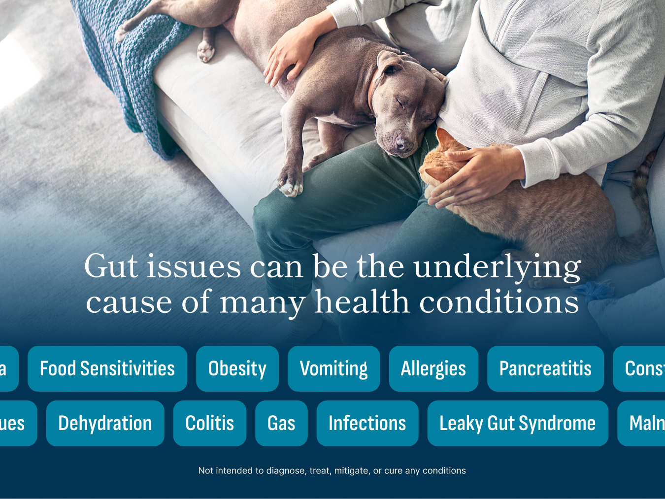 Microbiome Analysis Kit – Advanced