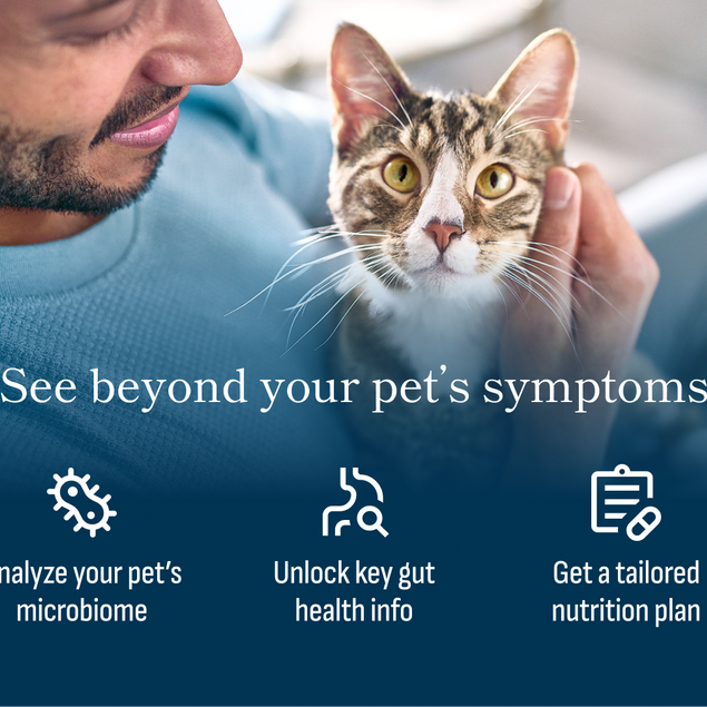 Microbiome Analysis Kit – Advanced