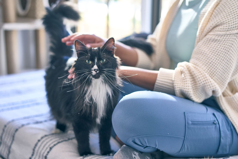 A woman sits cross-legged on her bed, petting a black and white cat. 
