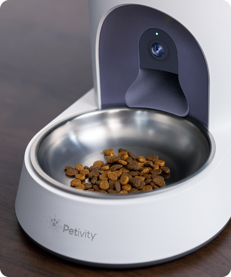 Cat kibble in a stainless steel bowl that's part of the Smart Feeder for Cats.