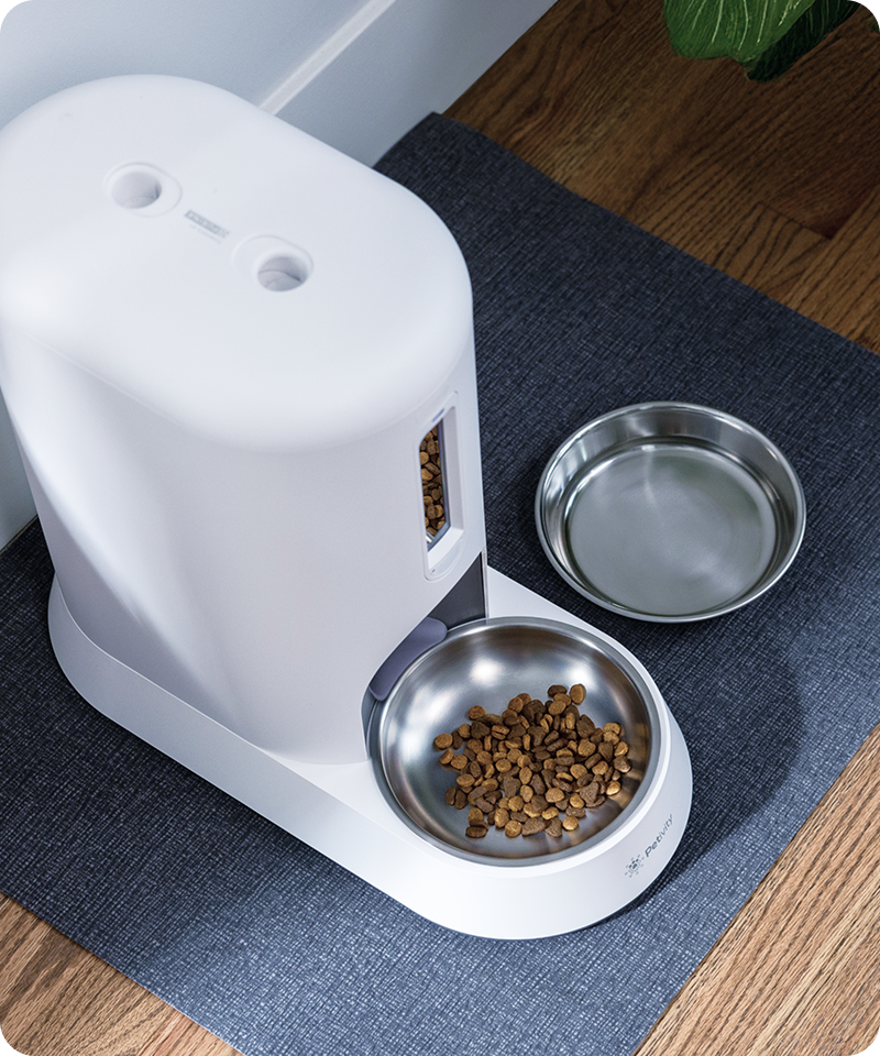 A bowl of water is next to an auto feeder for cats on the floor.