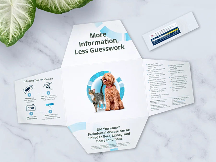Open at-home oral health test kit for cats and dogs showing instructions and information on a marble surface next to a green plant leaf