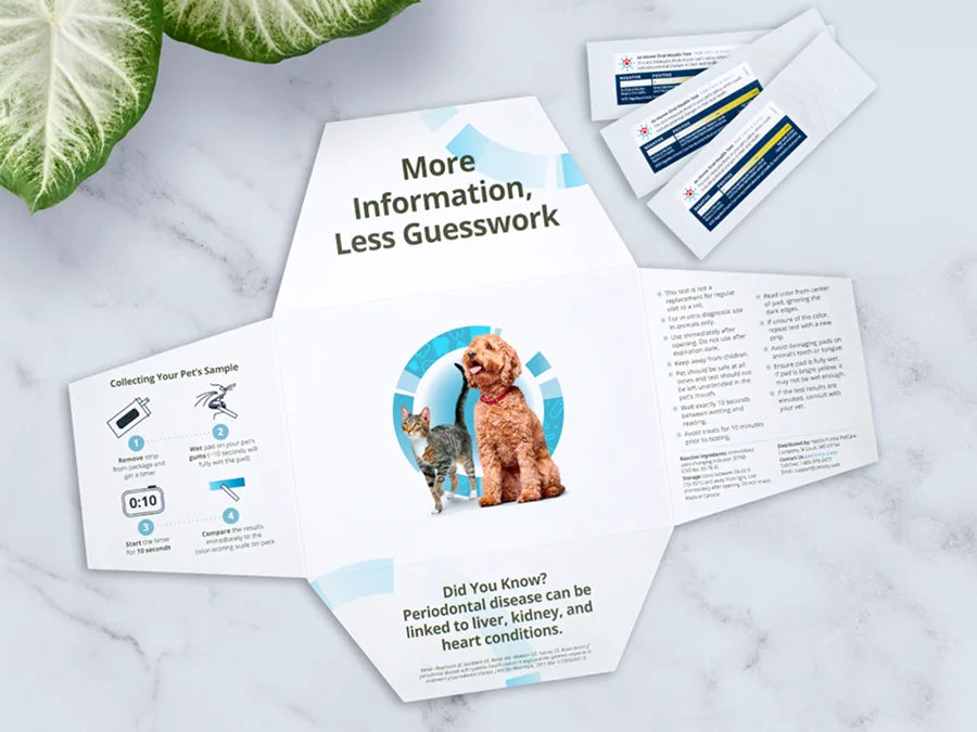 At-home oral health test kit for cats and dogs with easy instructions and sample collection tools on a marble background