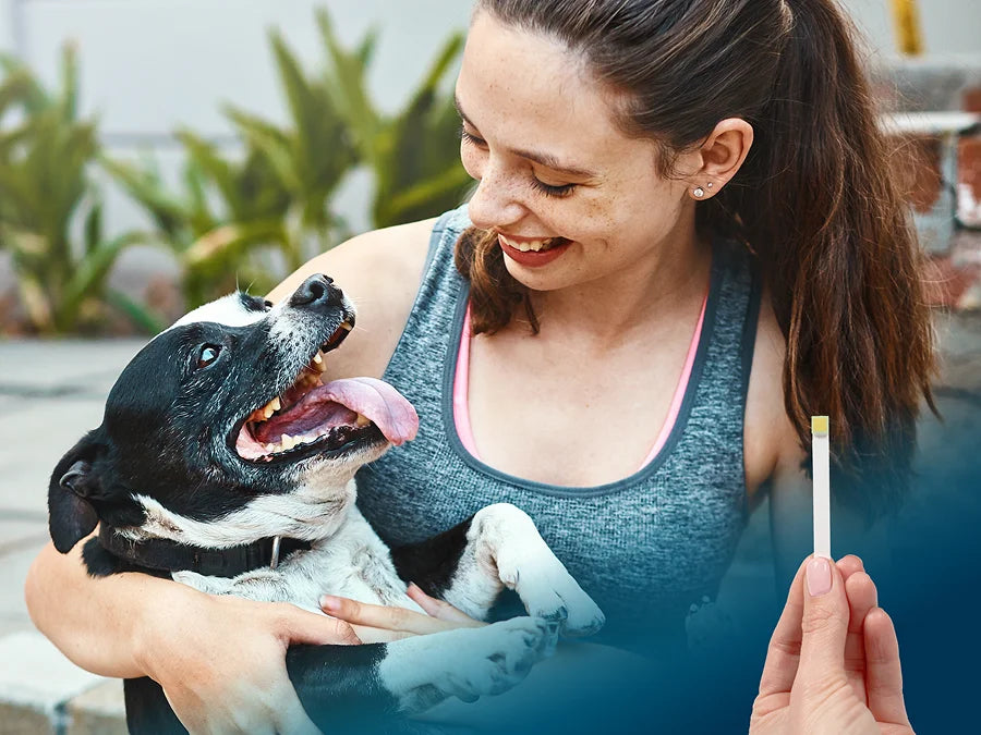 Smiling woman holding happy dog while showing an at-home oral health test strip for pets in outdoor setting