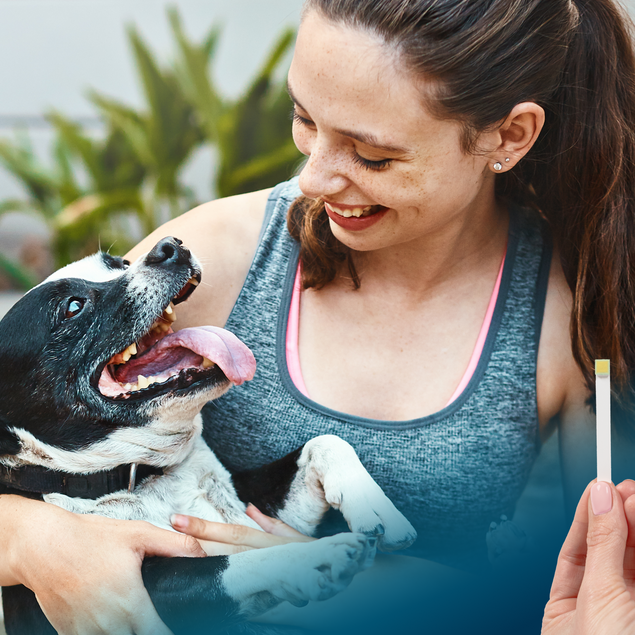 At-Home Oral Health Test for Cats & Dogs - 1CT