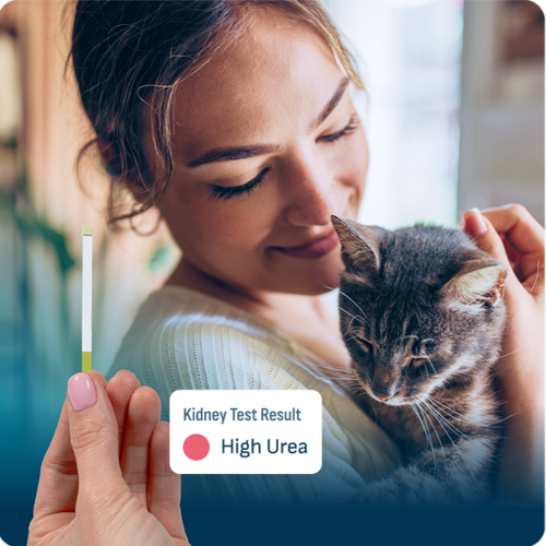 Woman smiling and holding a gray tabby cat while another hand holds a urine test strip in the foreground.