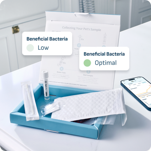 Open pet microbiome analysis kit on a bathroom counter, showing swabs, sample tube, mailing envelope, and beneficial bacteria results.