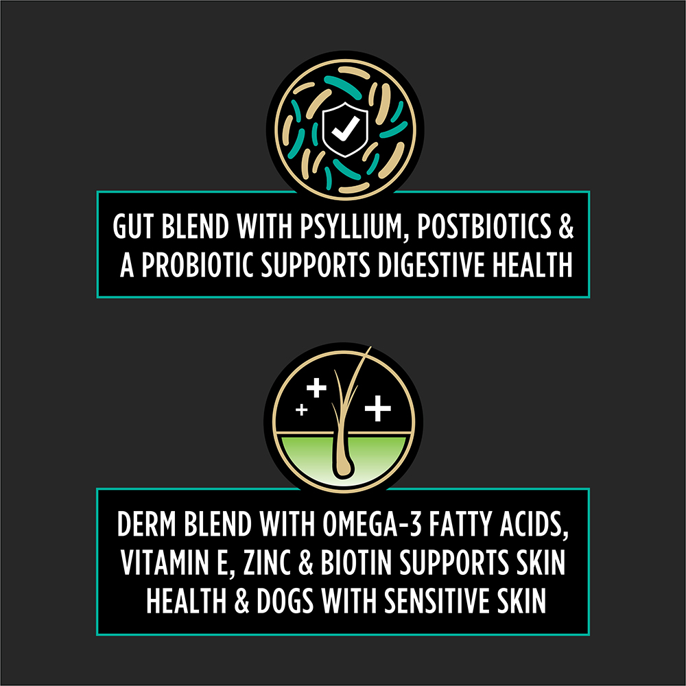 Diagram showing gut blend with psyllium, postbiotics, and probiotic supporting digestion, and derm blend with omega-3, vitamin E, zinc, and biotin for skin health.