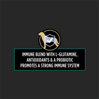 Illustration of a dog with a shield highlighting immune blend with L-Glutamine, antioxidants, and probiotics for strong immune support.