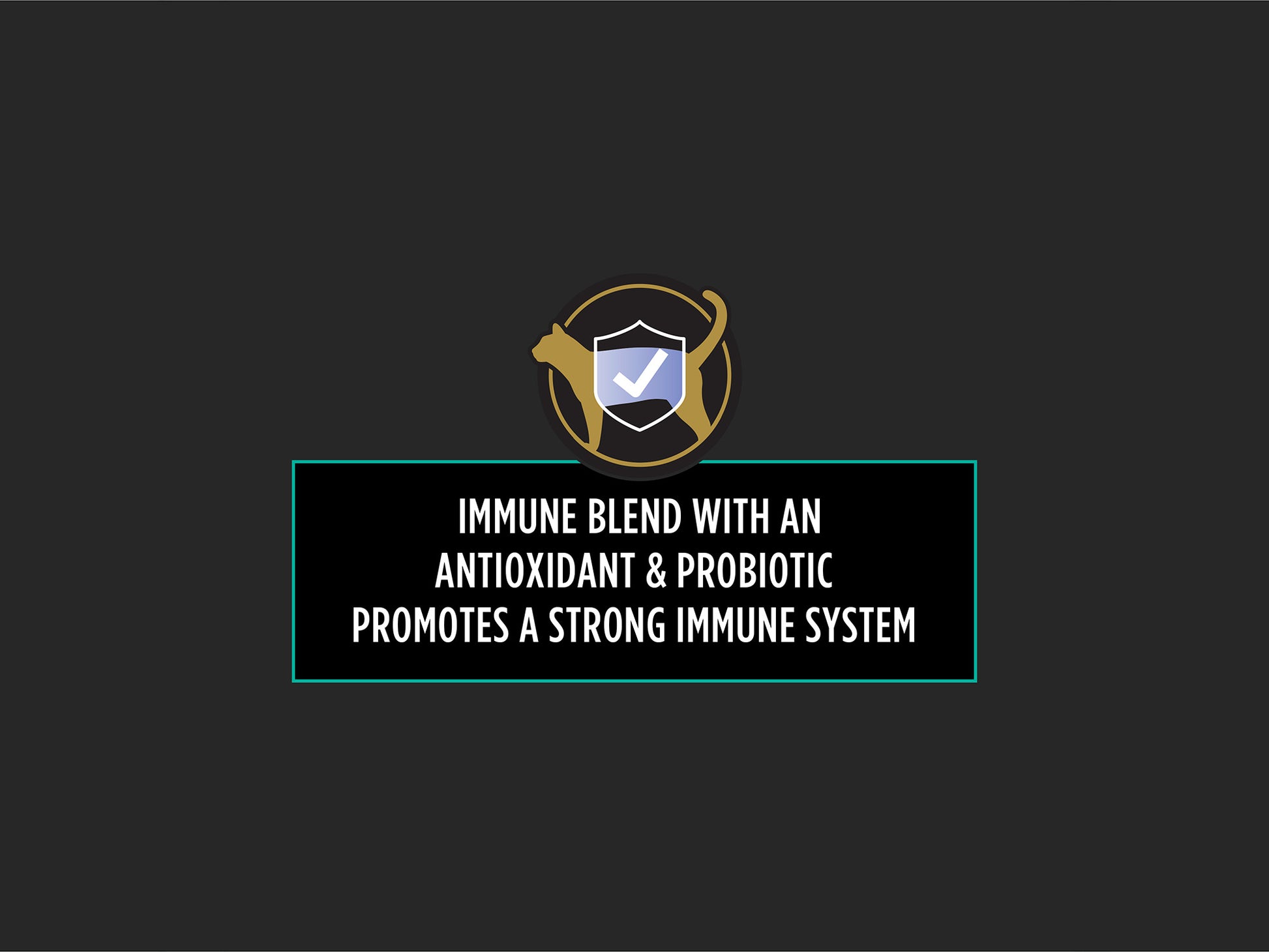 Icon of a cat with a shield and checkmark promoting immune blend with antioxidants and probiotics for a strong immune system in cats