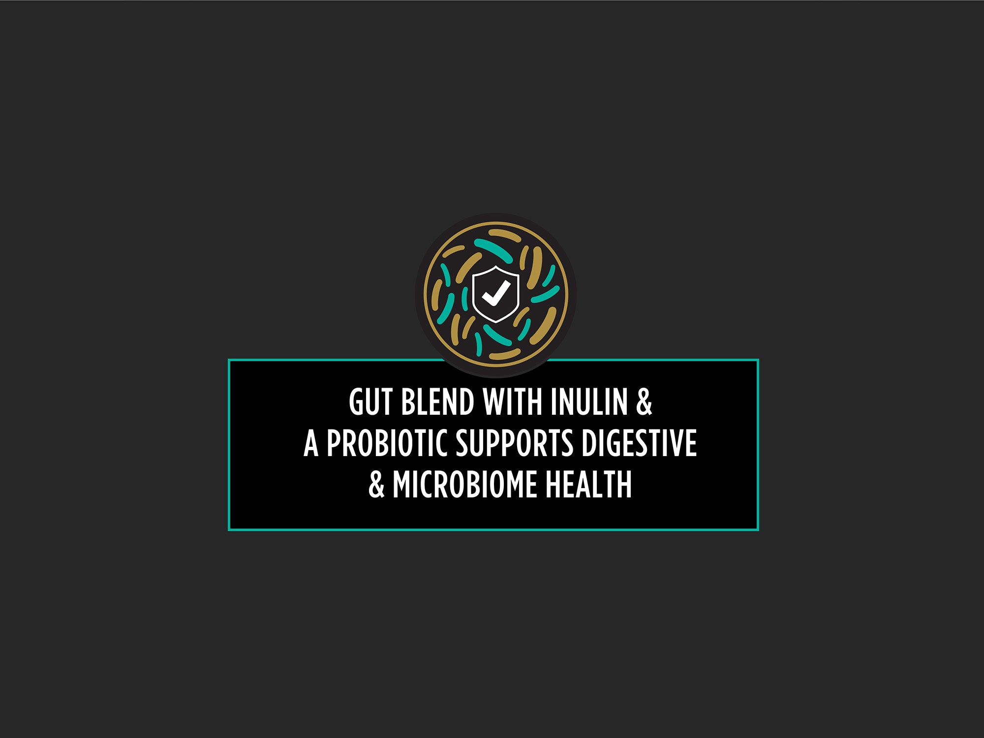 Graphic showing gut blend with inulin and probiotic promoting digestive and microbiome health for cats