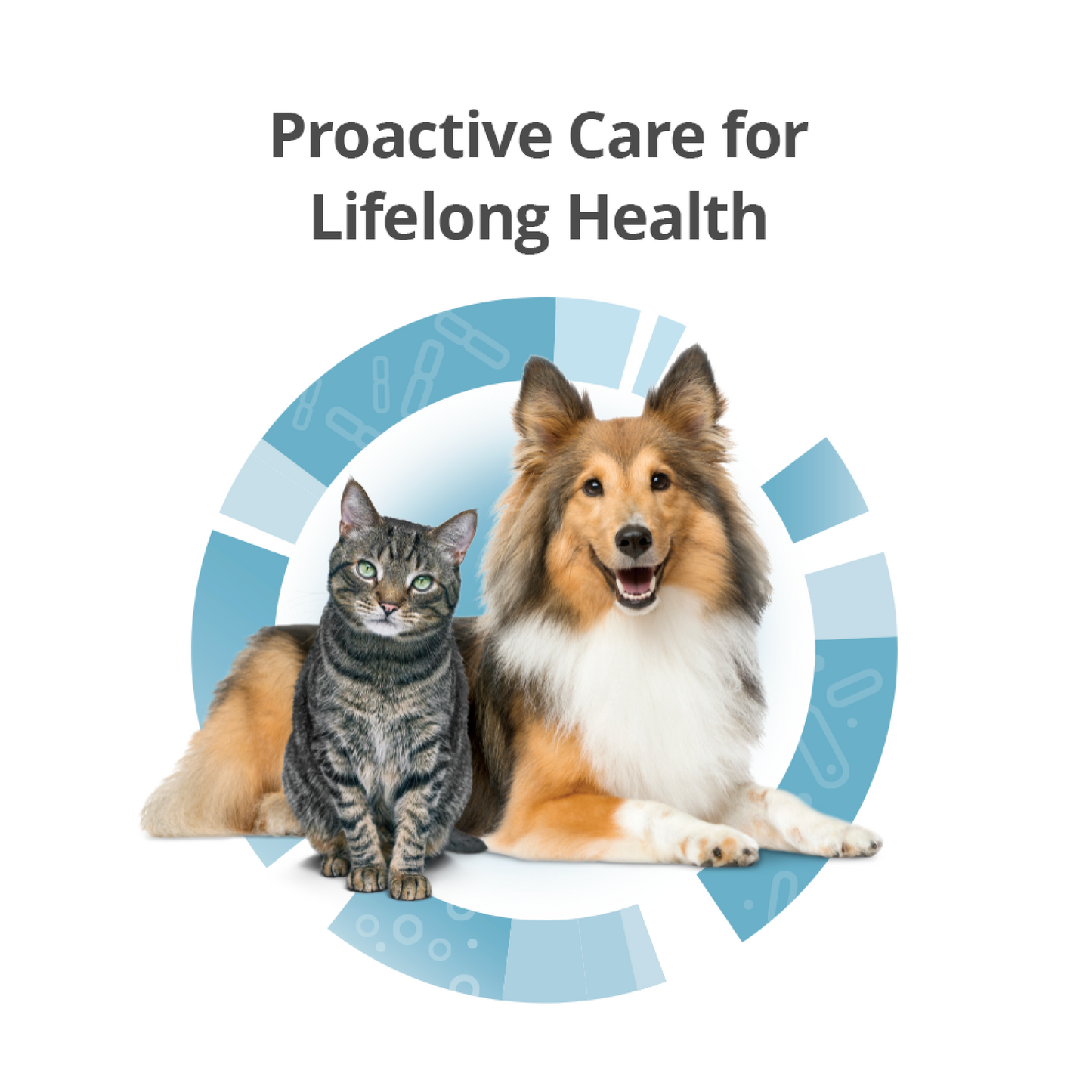Longevity & Overall Health - Probiotic & Prebiotic Supplement Blend for Cats