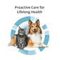 Healthy Digestion - Probiotic & Prebiotic Supplement Blend for Cats