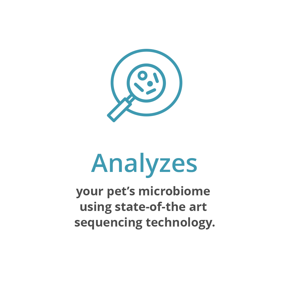 Microbiome Analysis Kit