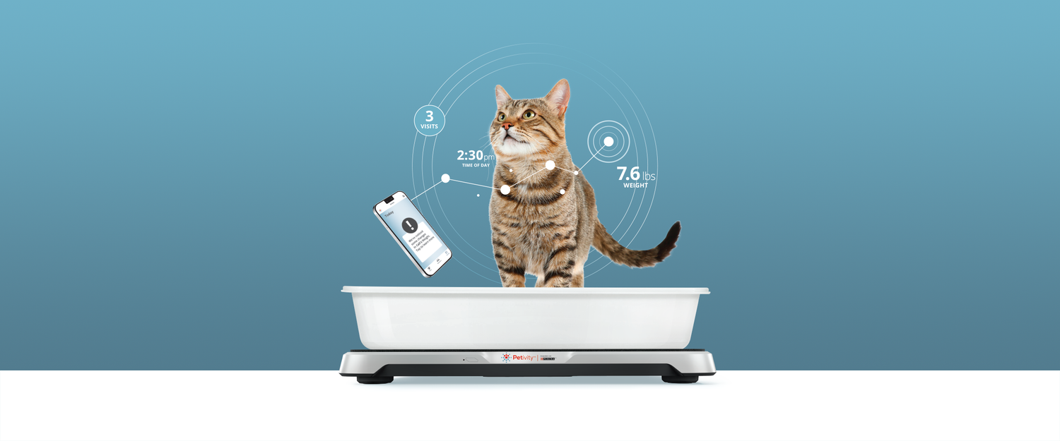 Cat in litterbox atop Smart Litterbox monitor along with screenshot of Petivity app alerting user to unusual litterbox activity. Weight and time of day data points in background.