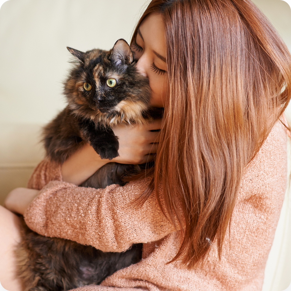 Woman hugging multi colored cat