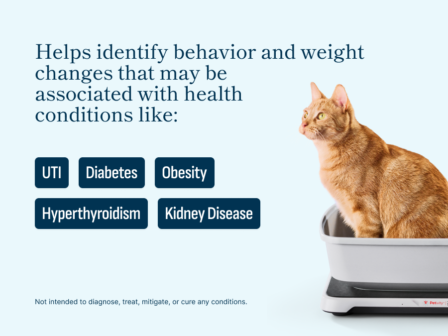 Smart Litter Box Monitor System