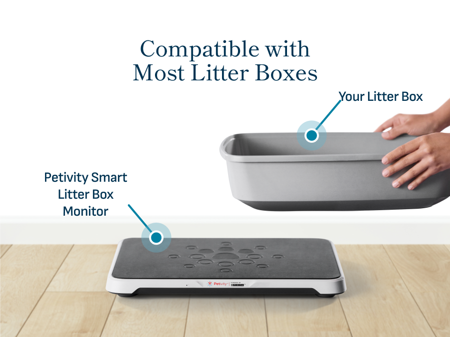 Smart Litter Box Monitor System (Refurbished)