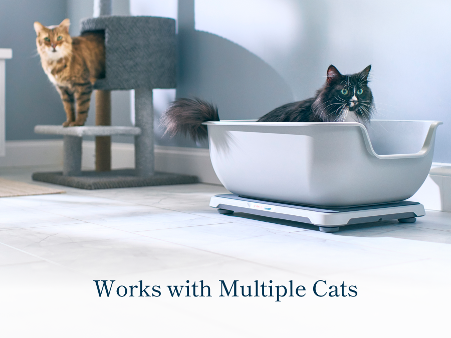Smart Litter Box Monitor System (Refurbished)