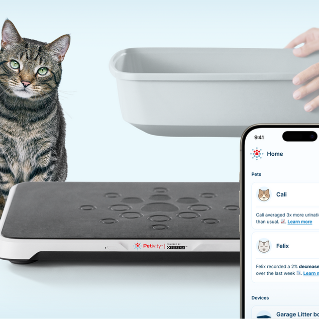 Smart Litter Box Monitor System