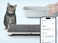 Cat standing next to a Petivity Smart Litter Box Monitor with a smartphone displaying litter box health tracking data.