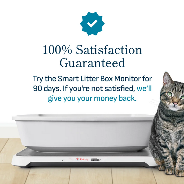 Smart Litter Box Monitor System