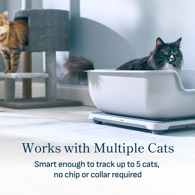 Smart Litter Box Monitor System
