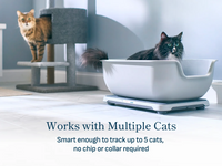 Two cats in a modern room, one using a smart litter box on a scale, highlighting the monitor system’s multi-cat tracking capability