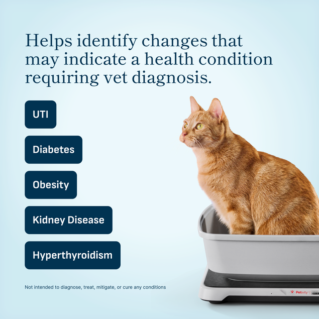 Cat litter that detects uti best sale