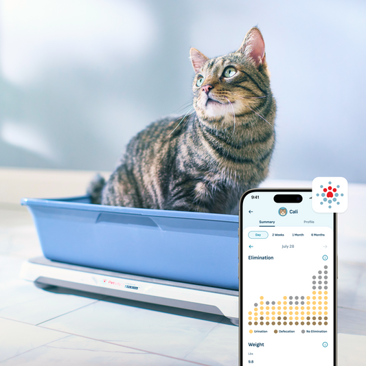 Smart Litter Box Monitor System